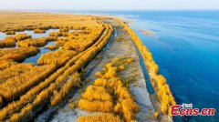 Autumn view of Bosten Lake in Xinjiang