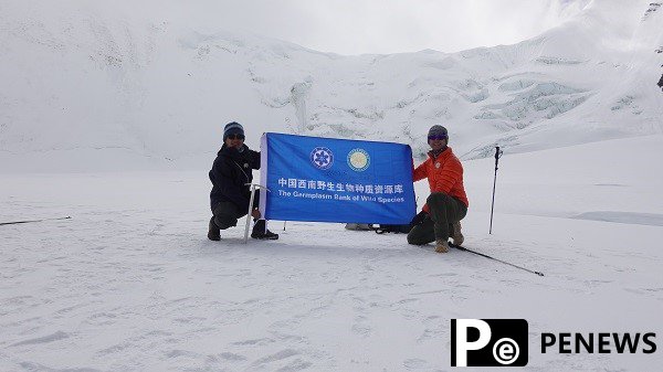 Yunnan germplasm bank provides a safe home for wild species