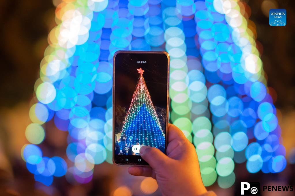 Christmas tree lit up in Bethlehem