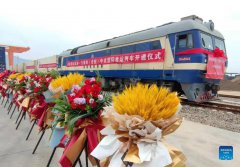 First cold-chain train launched on China-Laos Railway