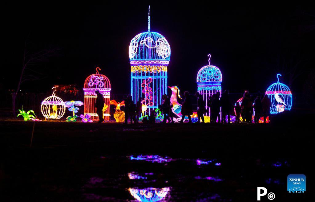 In pics: Seasky International Light Show in Ontario, Canada