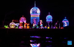 In pics: Seasky International Light Show in Ontario, Canada