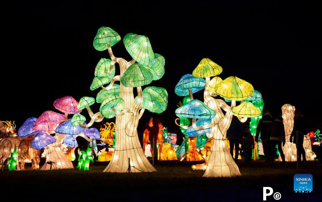 In pics: Seasky International Light Show in Ontario, Canada