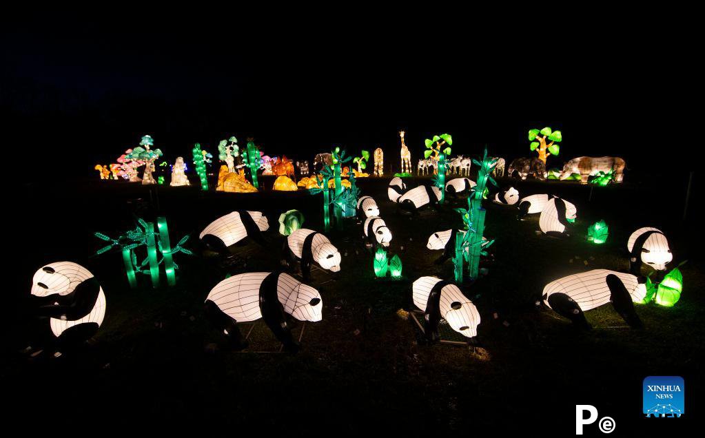 In pics: Seasky International Light Show in Ontario, Canada