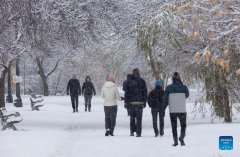 Snowfall hits southern Ontario, Canada