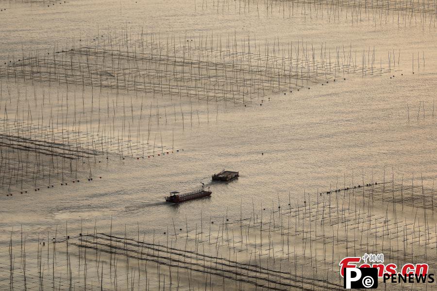 Winter fishing life under sunrise in Fujian