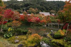 Autumn scenery in Kyoto, Japan