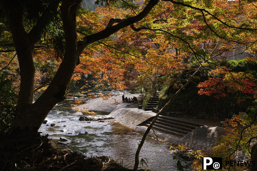 Autumn scenery in Kyoto, Japan