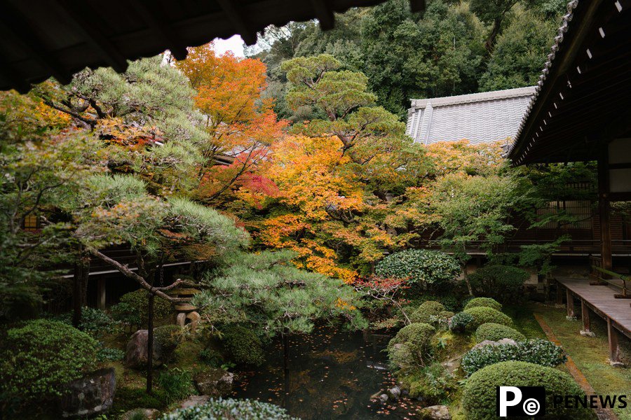 Autumn scenery in Kyoto, Japan