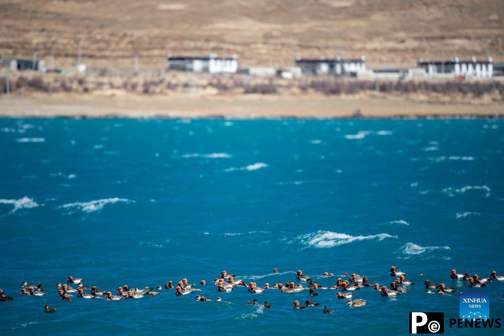 Scenery of Yamzbog Yumco Lake in China