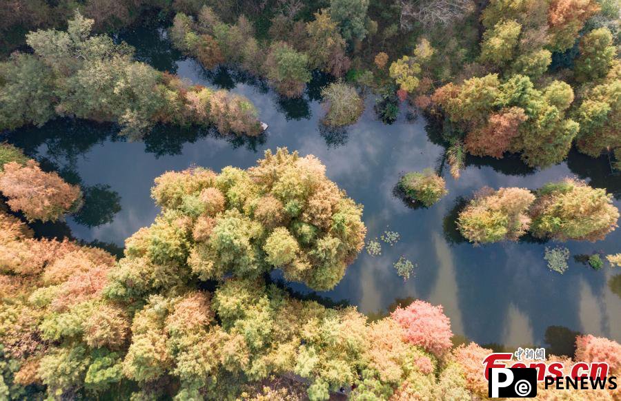 Early winter scenery of Nanjing Yanque Lake