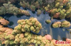 Early winter scenery of Nanjing Yanque Lake