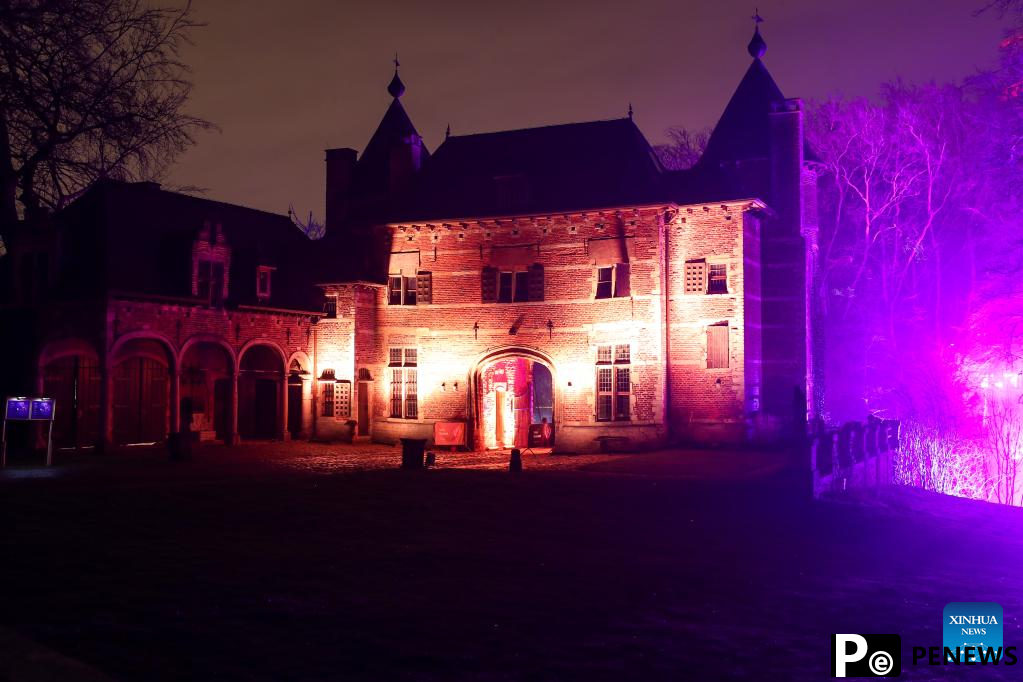 In pics: immersive light show Nature Illuminated in Belgium