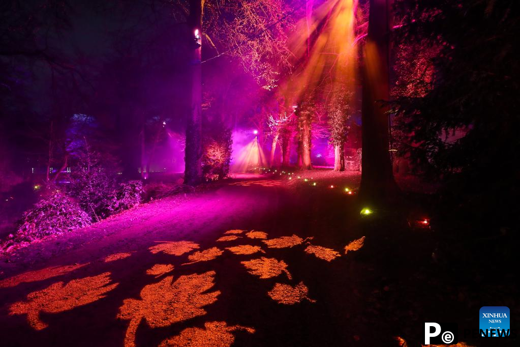 In pics: immersive light show Nature Illuminated in Belgium