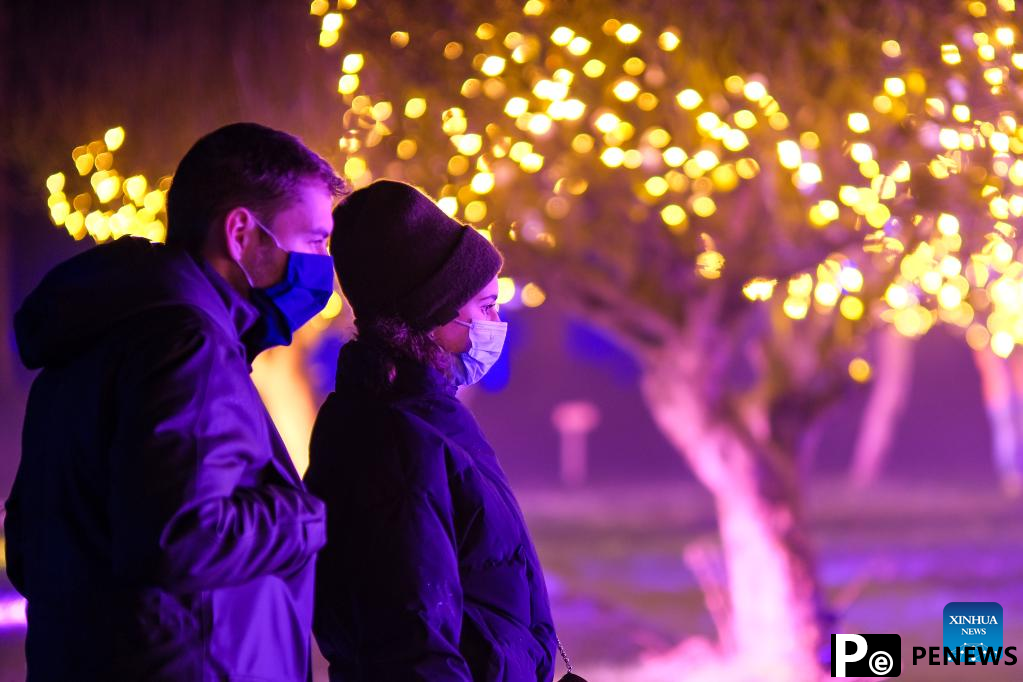 In pics: immersive light show Nature Illuminated in Belgium