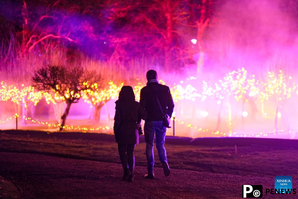 In pics: immersive light show Nature Illuminated in Belgium