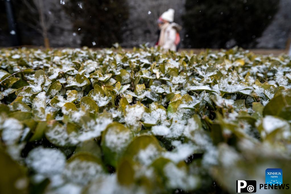 In pics: snow scenery of Beijing