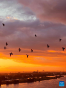 Sunset view in Cairo, Egypt