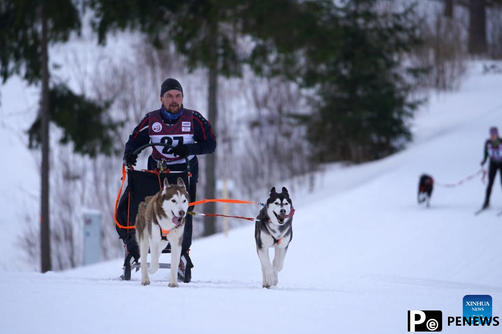 Highlights of Latvian sleddog winter championships 2022