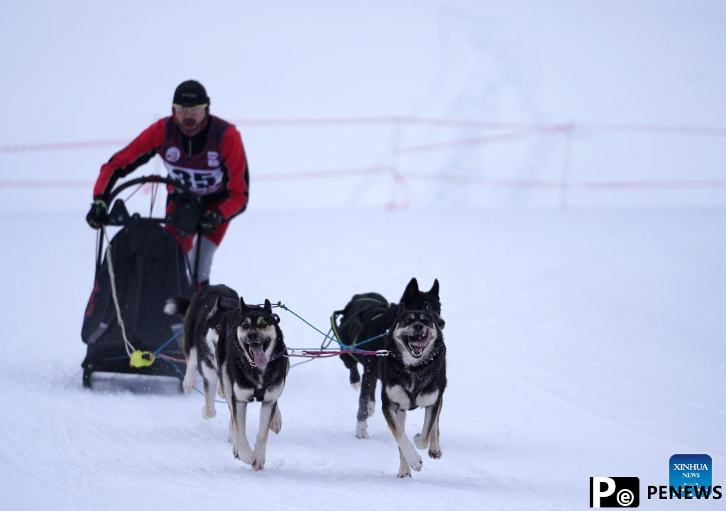 Highlights of Latvian sleddog winter championships 2022