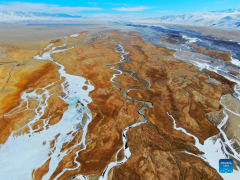 Winter scenery of Haltent grassland in Gansu, NW China