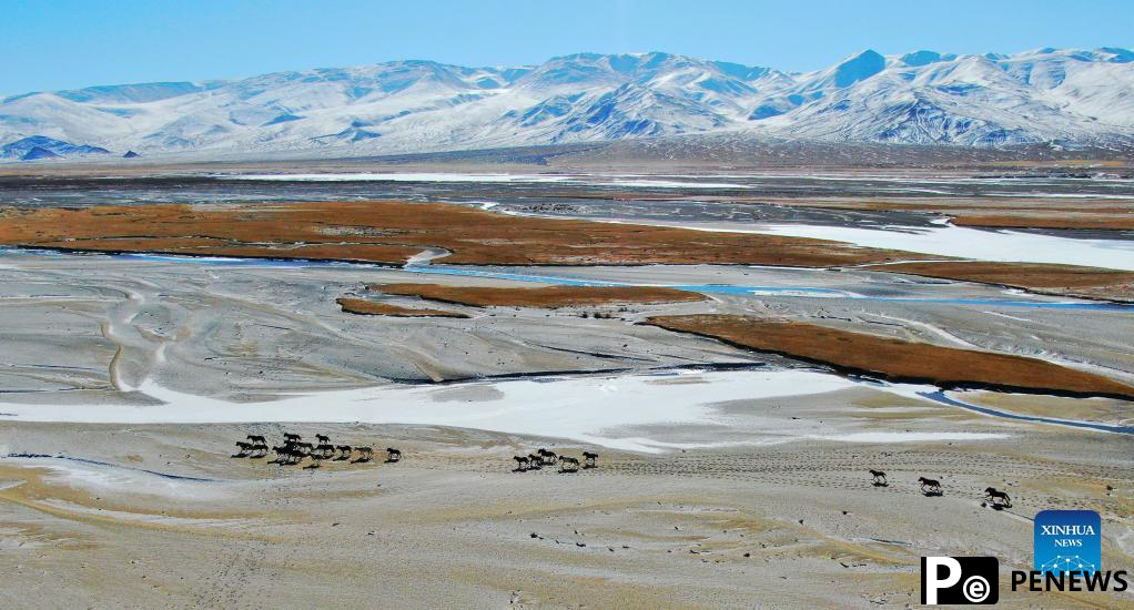 Winter scenery of Haltent grassland in Gansu, NW China