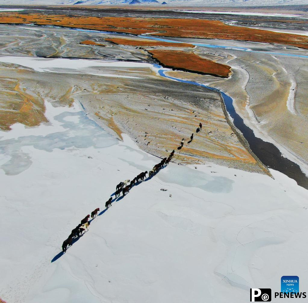 Winter scenery of Haltent grassland in Gansu, NW China