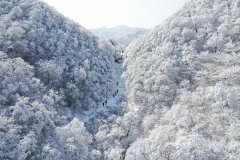 Enchanting sight after snowfall at Jingshe Ancient Road in E China's Anhui