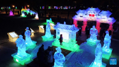 People visit 48th Harbin ice lantern fair in NE China's Heilongjiang
