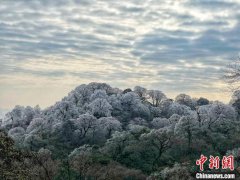 Snow and rime put colors on mountain in N Guangxi