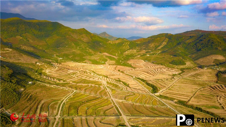 First phase of national seed breeding base in S China’s Hainan completed