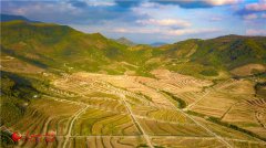 First phase of national seed breeding base in S China’s Hainan completed