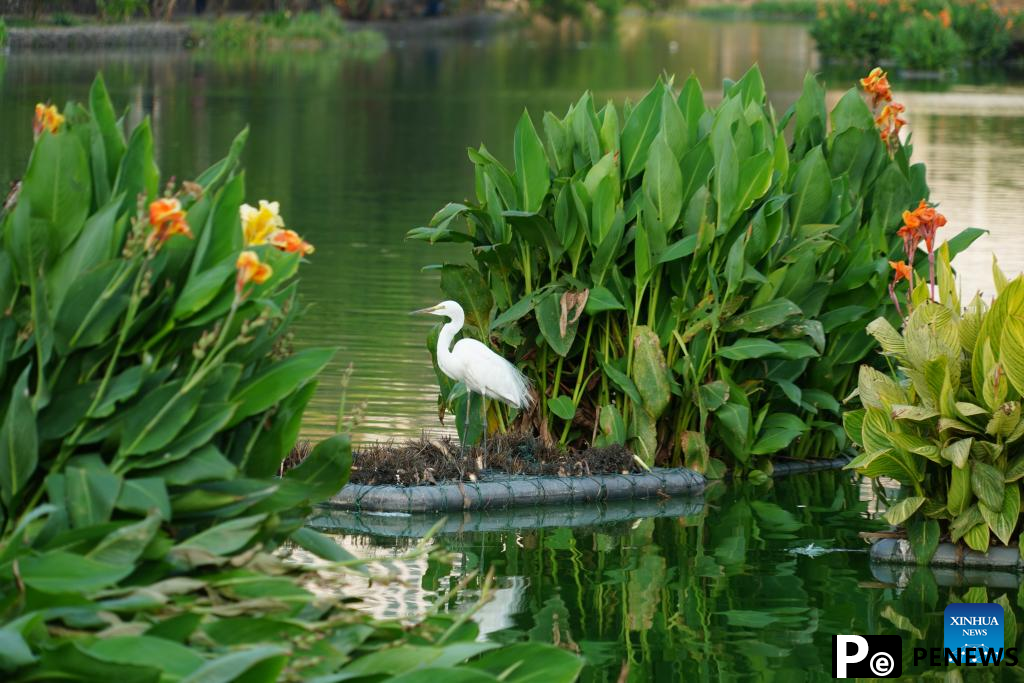 View of Beddagana Wetland Park in Sri Lanka