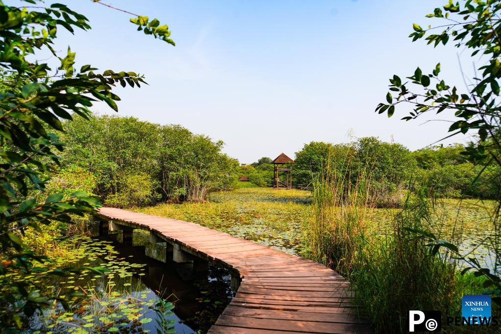 View of Beddagana Wetland Park in Sri Lanka