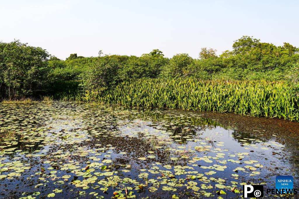 View of Beddagana Wetland Park in Sri Lanka