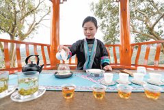 China’s tea industry brims with vitality alongside growing shift towards consumption upgrading