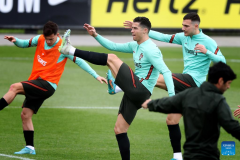 Portugal's football team players attend training session