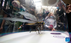 People visit Ontario Science Center during five days of March Break in Toronto