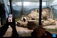 Smithsonian's National Zoo kicks off celebration of giant panda program's 50th anniversary