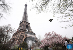 Spring scenery in Paris