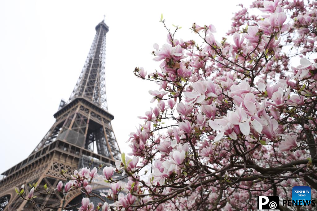 Spring scenery in Paris