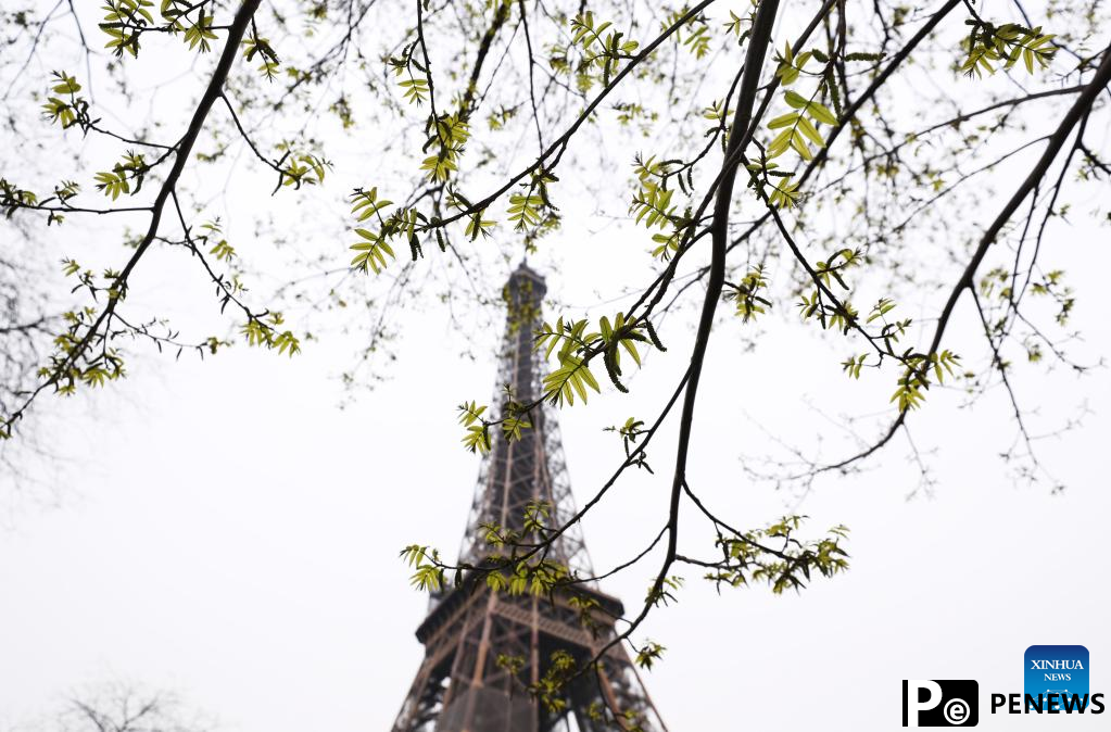 Spring scenery in Paris