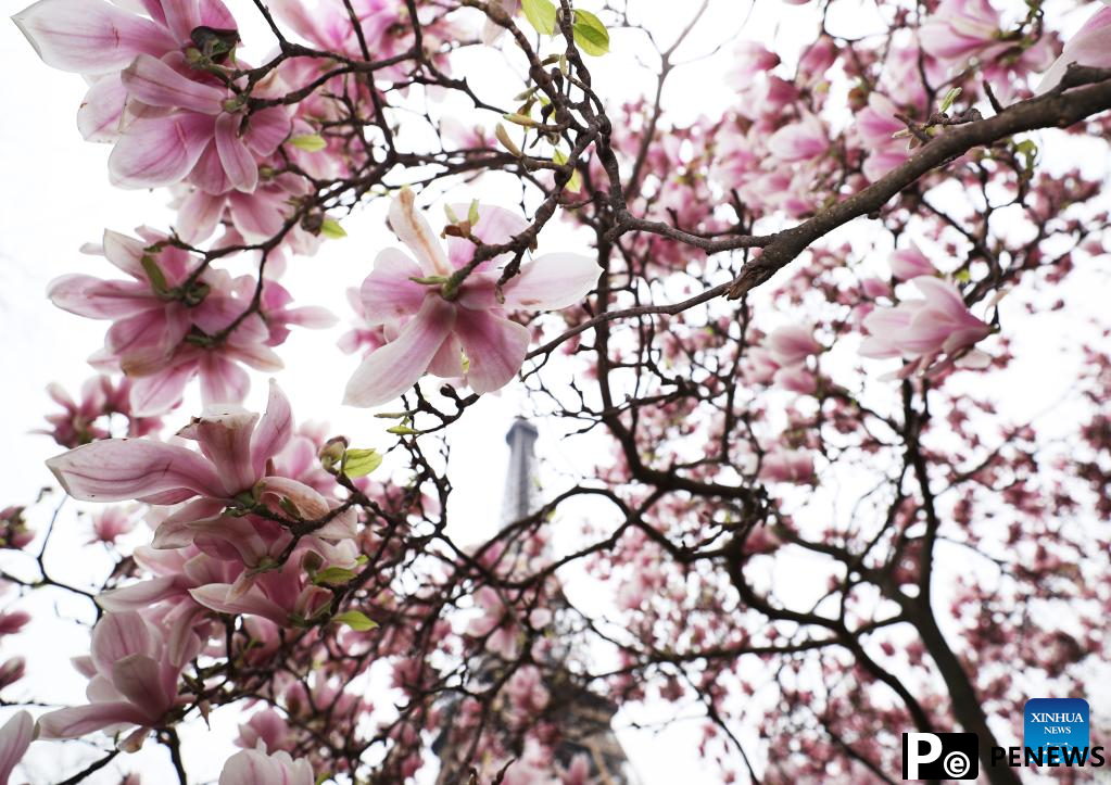 Spring scenery in Paris