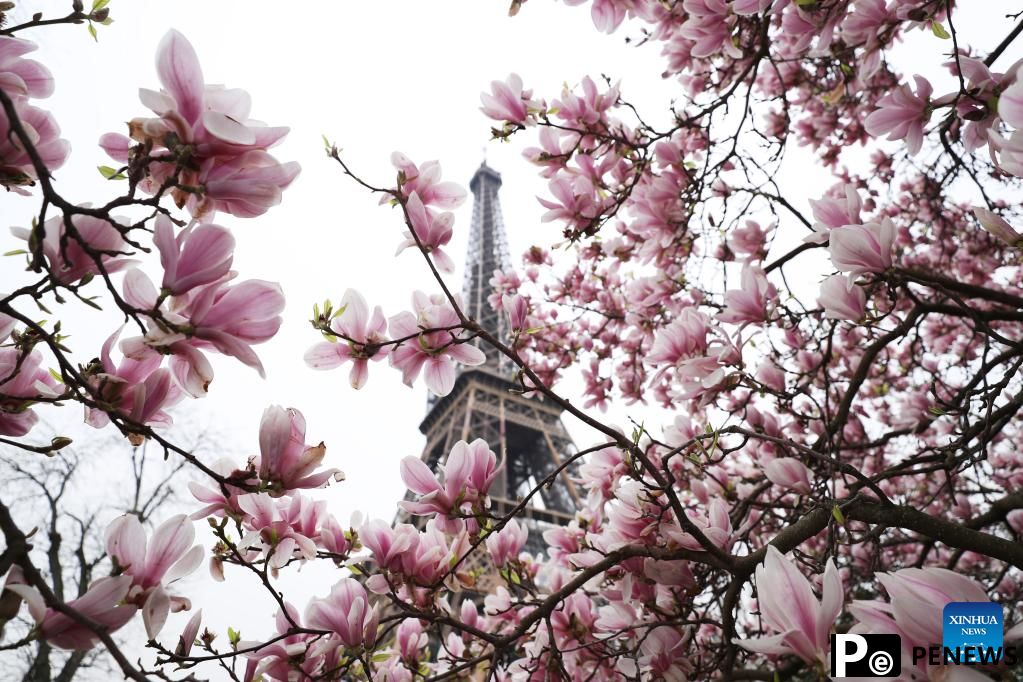 Spring scenery in Paris