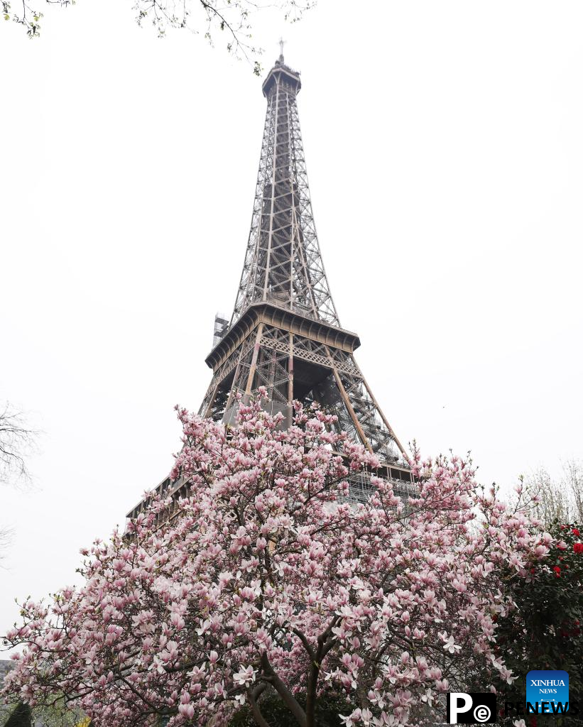 Spring scenery in Paris