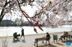 People enjoy spring time in Frankfurt, Germany