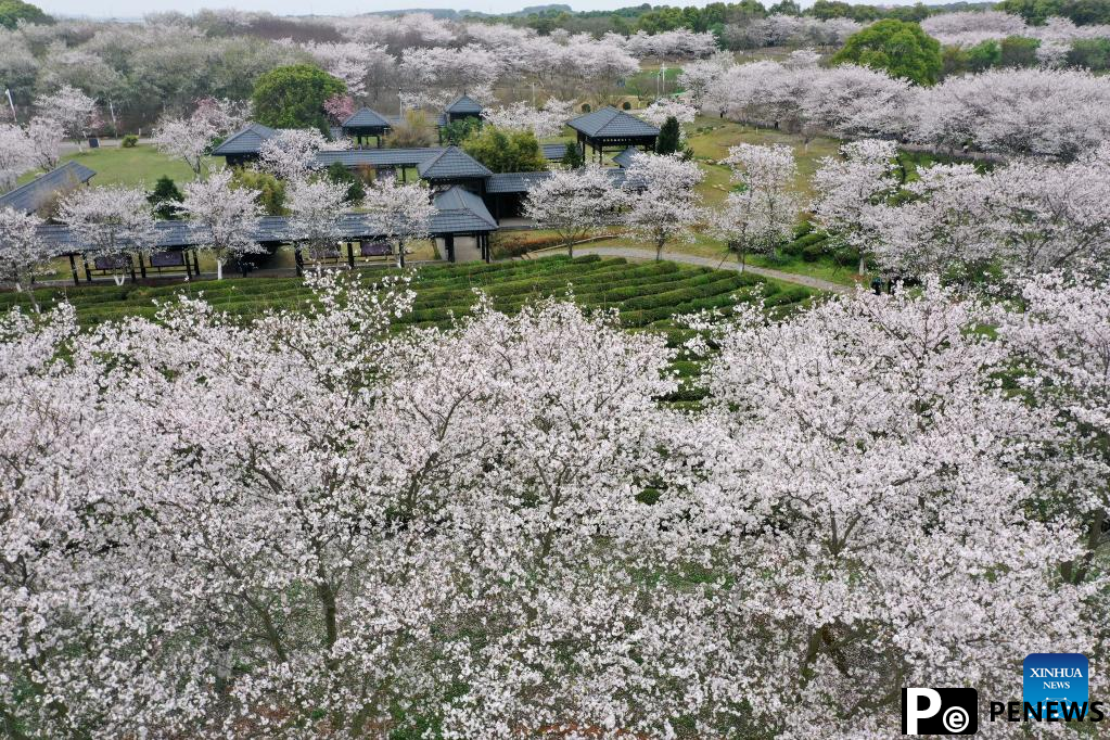 Spring scenery of Fenghuanggou scenic area, Jiangxi Province