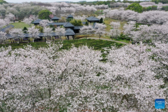 Spring scenery of Fenghuanggou scenic area, Jiangxi Province