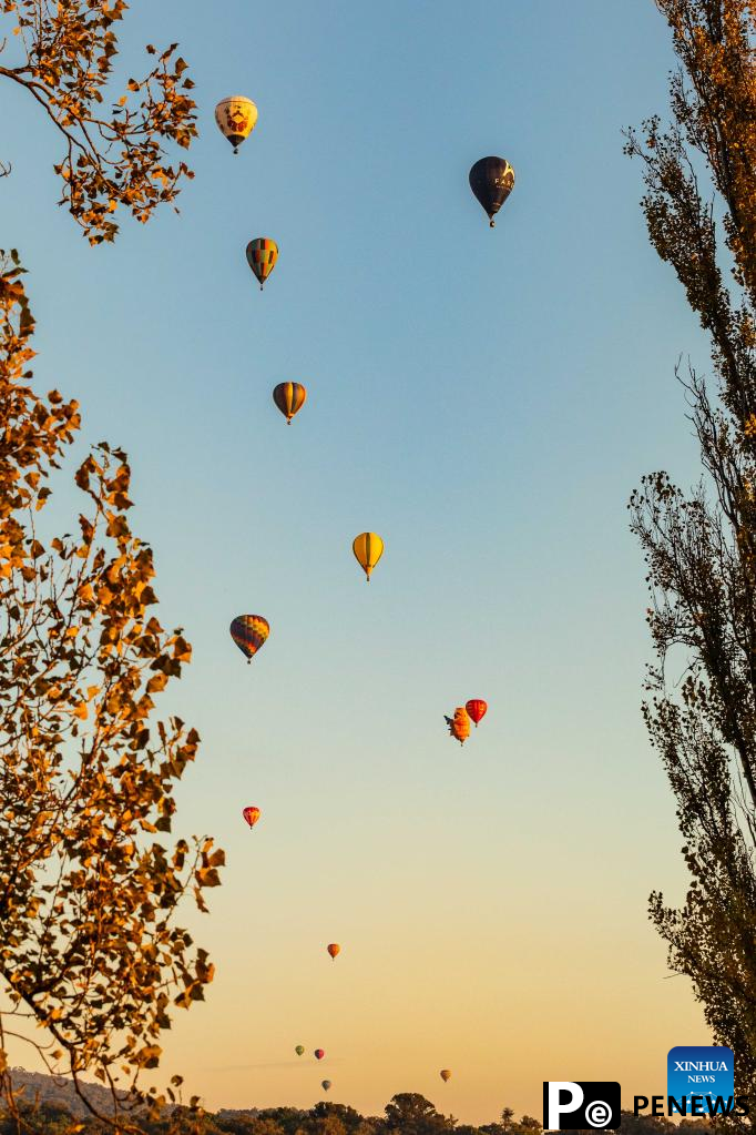 In pics: Canberra Balloon Spectacular festival