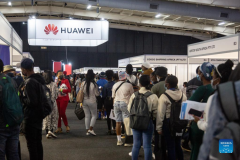Chinese-invested enterprises in South Africa hold job fair to pursue localized development